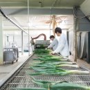 더꿈협동조합 이미지