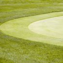 에프와이에스 골프 이미지