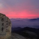 늑대와 여우