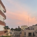 강아지 나라 이미지