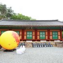 도림사 이미지
