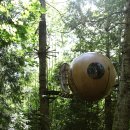 나무호텔 이미지