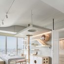 고양이 놀이터 이미지