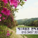이포골프장 이미지