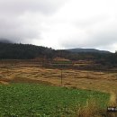 읍리 지석묘 이미지