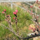 홍도어린이집 이미지