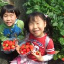 질울고래실마을 이미지