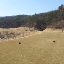 지인골프크럽 이미지