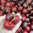 영풍상회 이미지