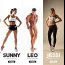 시즌온핏 이미지