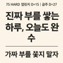 D-15 이미지