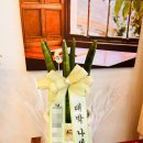 신월동129 이미지