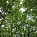 정병공인중개사사무소 이미지