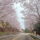 여수 비치호텔 | 여수 먹거리 광장국밥 바지락 돼지국밥, 염전의봄 소금빵, 쑥튀김소보로 쑥초코파이, 돼지갈비튀김...