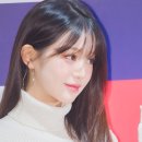 현대타미힐피거