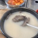 원고기