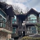 힐링 | 아이와 신불산 자연휴양림 비자나무 힐링 후기