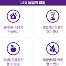 햇빛농장 이미지