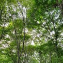 미륵리 마을회관 이미지