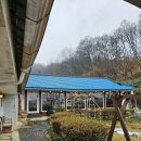 청원마을회관 | 카페추학리361의 아이스크림 크로플과 아이스아메리카노 내돈내산 후기, 주차장과 고양이가 잇는곳