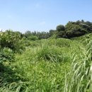 삼달1리마을회관 이미지