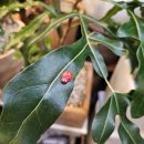 하나원베일리공인중개사사무소 이미지