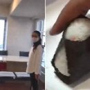 매일김밥 이미지
