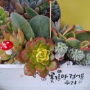 조은농원 이미지