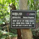 삼태기길입구 이미지