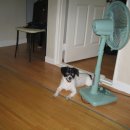 미천면-8 이미지