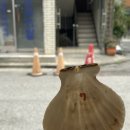 망원포레스트