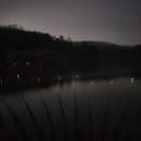 영천참붕어 이미지