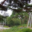 예림이네민박 이미지