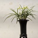 한국춘란 전시회 이미지