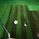 진산골프연습장 이미지