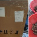 이레상사 이미지