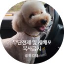수어지교 | 아산 탕정 횟집 수어지교 솔직후기