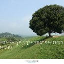 남지읍수변생태공원 이미지