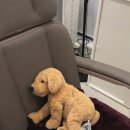 모아의원 이미지