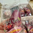 낭산파출소 | 익산에서 여행가는길에 들고다니며 먹을 진짜 고구마빵