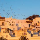 BOB PC LAB 이미지