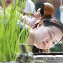 비단결