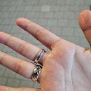 마포소방서 화장실 | 119 소방서에서 반지 절단한 후기 (반지 빼는 방법)