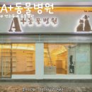 에이플러스 동물병원 이미지