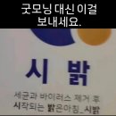 스타토 - 강남구 강남대로84길 23 | 스타토