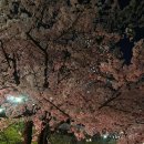 송파나루역 2번출구 앞 | 여의나루역 (2번출구) 🌸벚꽃🌸 보러온 후기