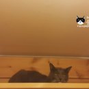 호텔구구 이미지