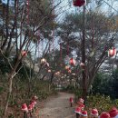 루몽드917 이미지