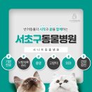 남부동물병원 이미지