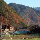 산속호수마을 이미지